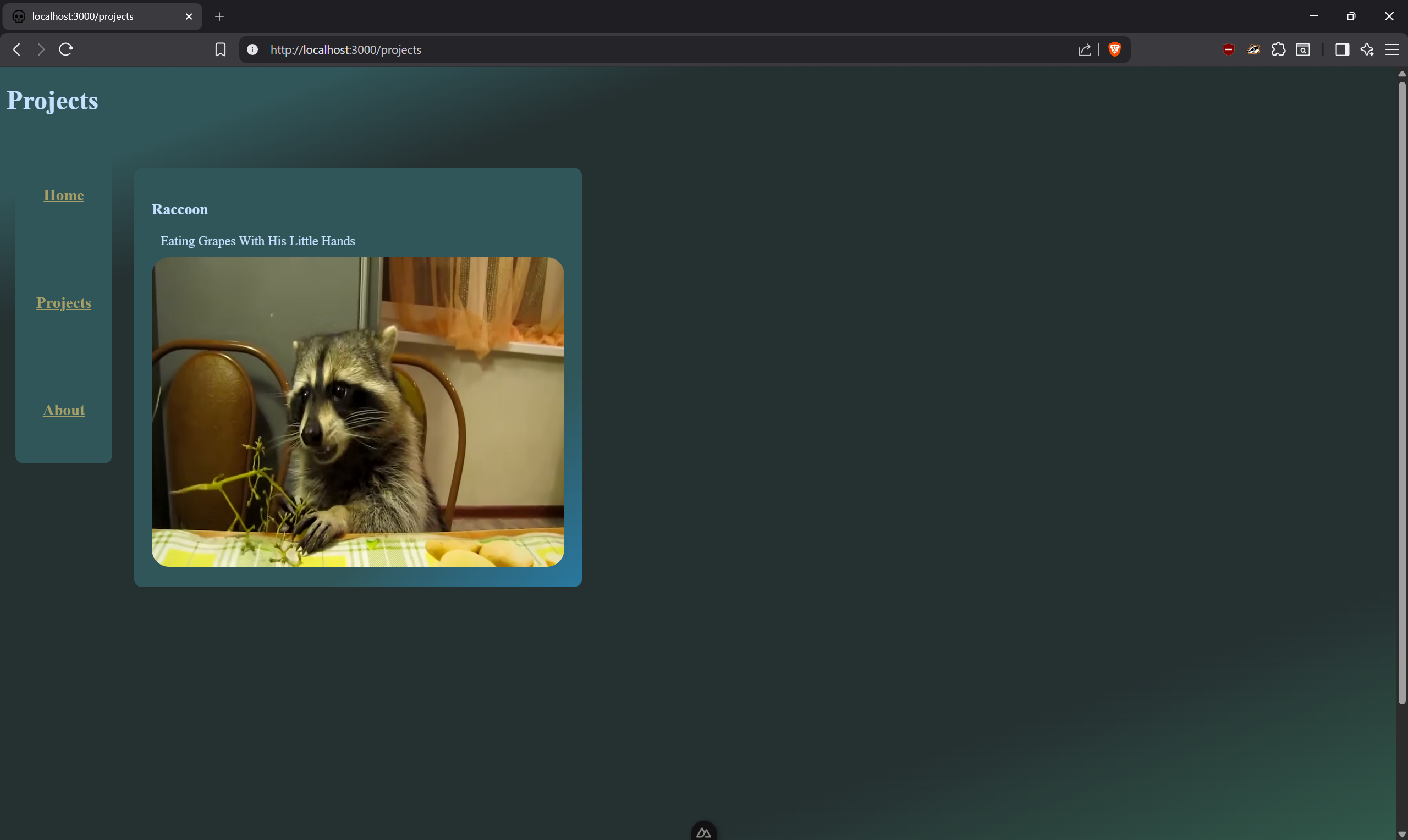 Image of my project.